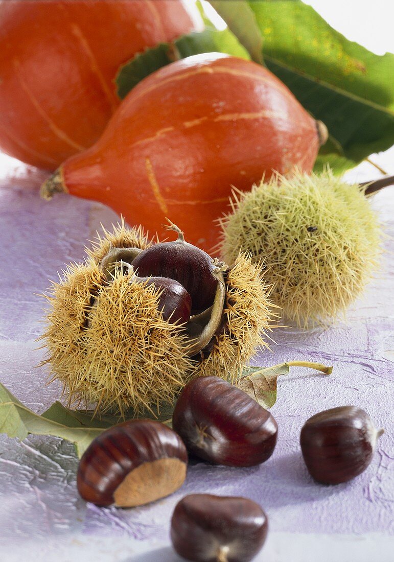 Chestnuts and Hokkaido squashes