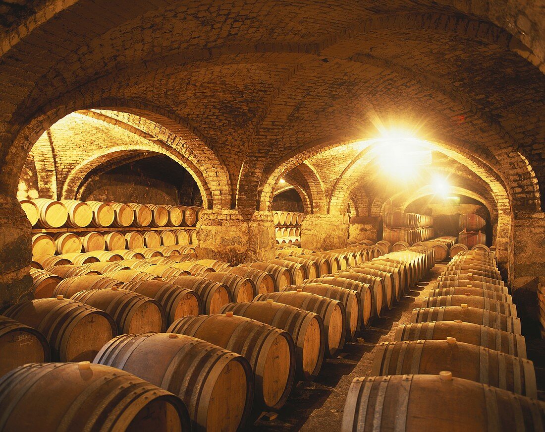 Barrique barrels in wine cellar of Viña San Pedro, Curico, Chile