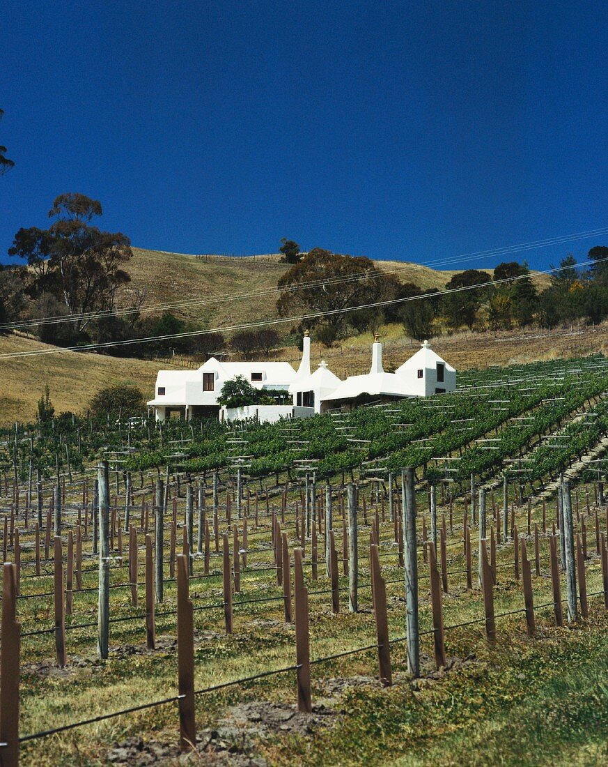 Te Mata Estate, spitzen Weingut, Hawke's Bay, Neuseeland