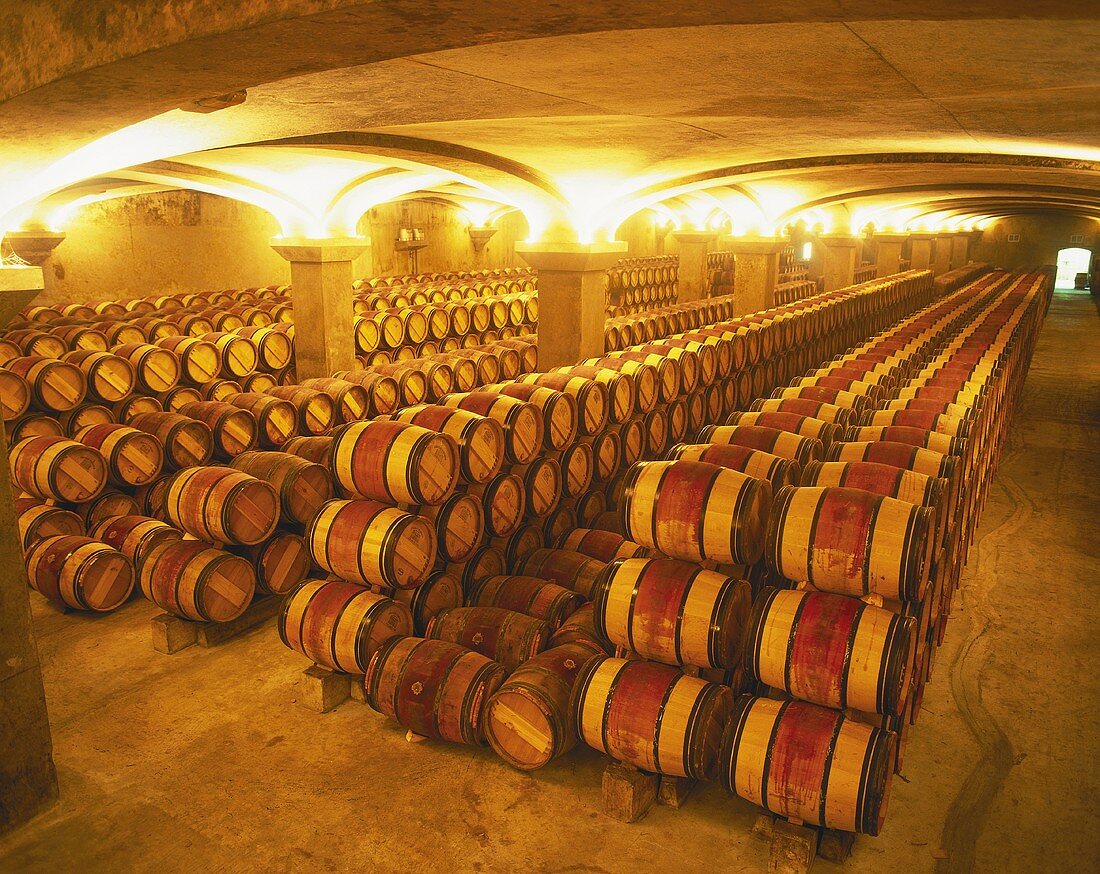 Barrique-Fässer im Weinkeller des Château Margaux, Bordeaux