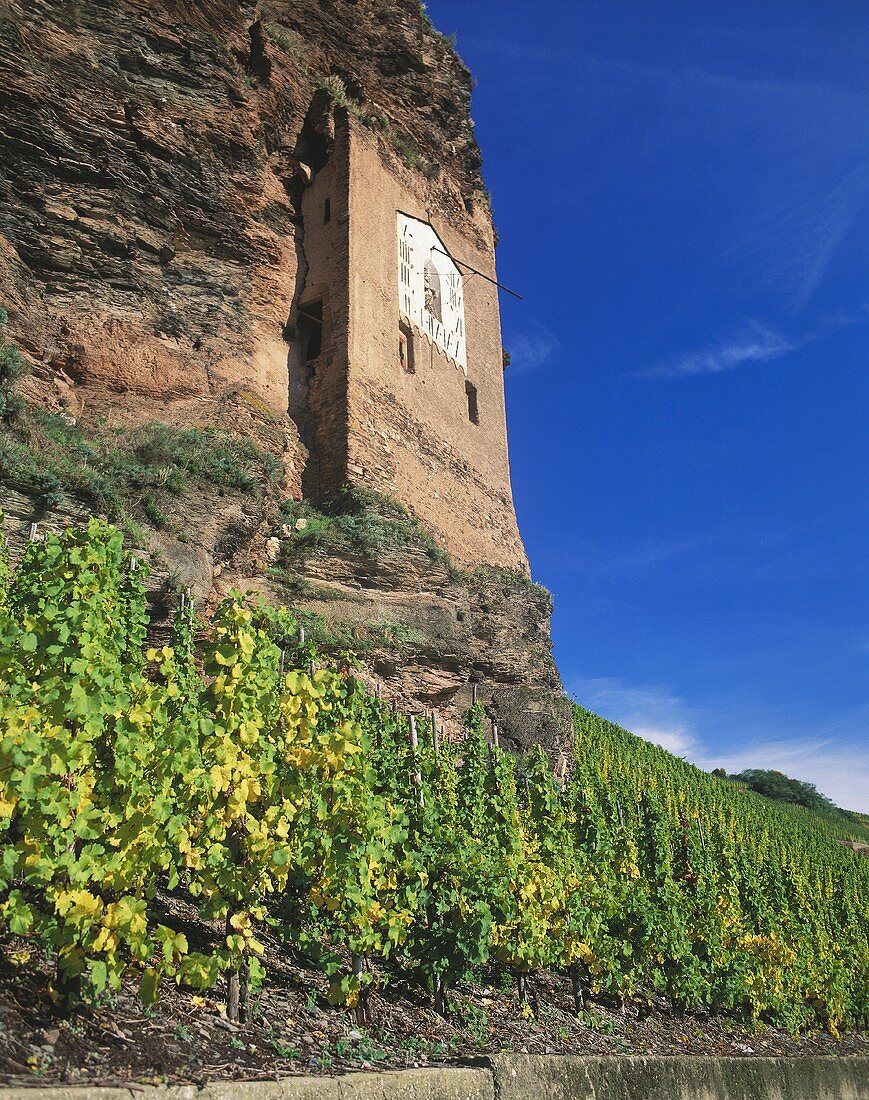 Sundial in a vineyard, Mosel-Saar-Ruwer, Germany