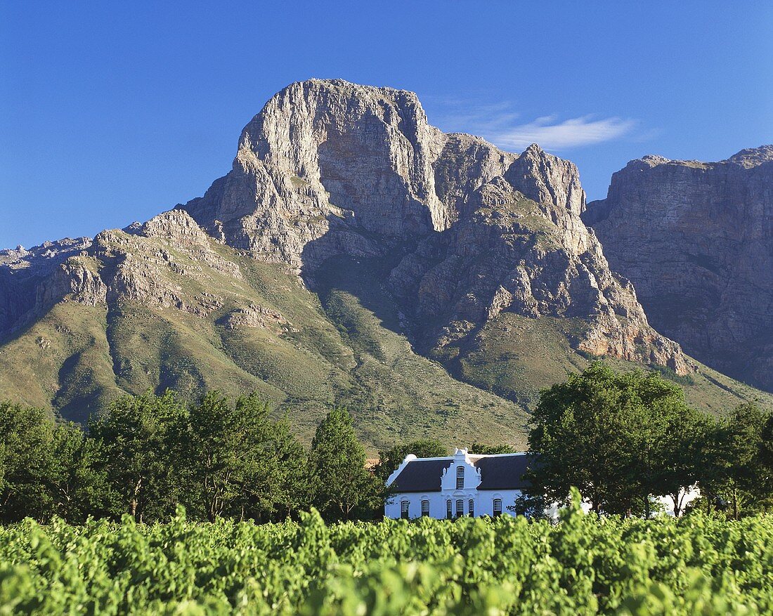 Boschendal Winery at foot of Groot Drakenstein, S. Africa