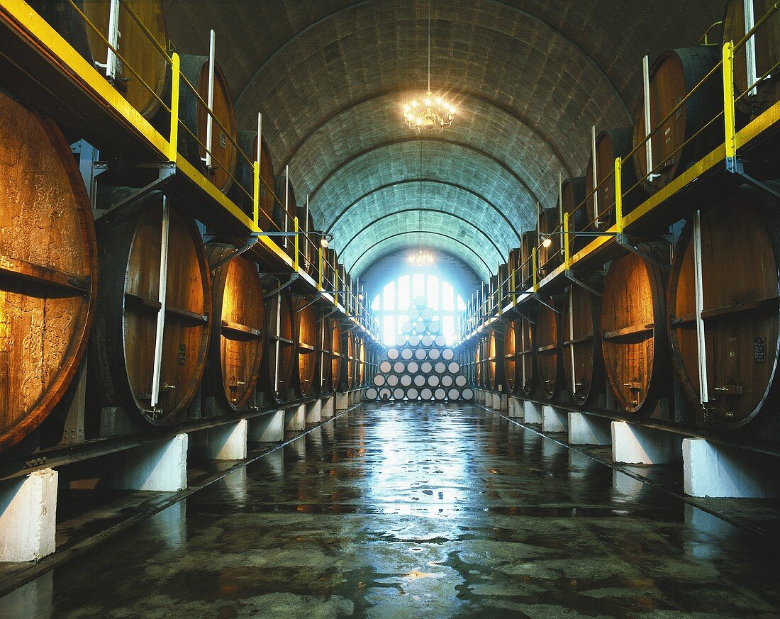 'Cathedral Cellar' in KWV Headquarters, Paarl, S. Africa