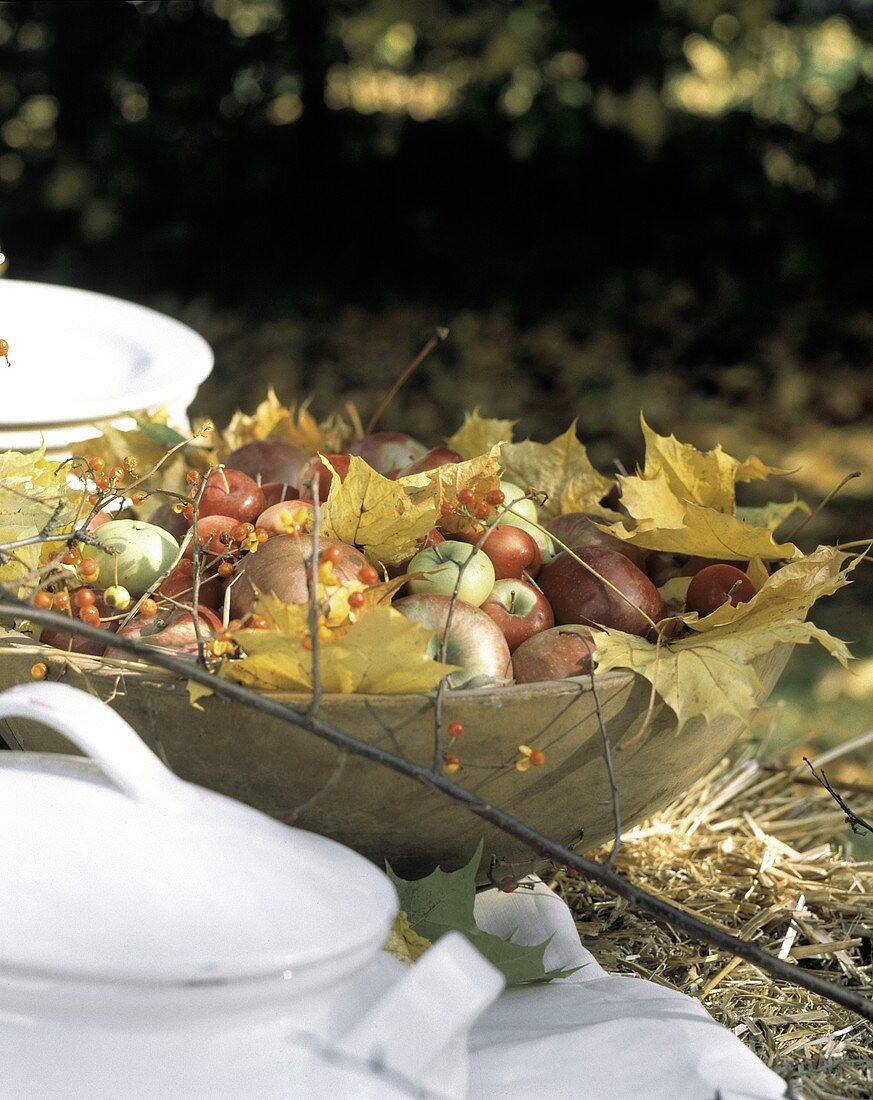 A Wooden Bowl with Apples Outside; Autumn Leaves