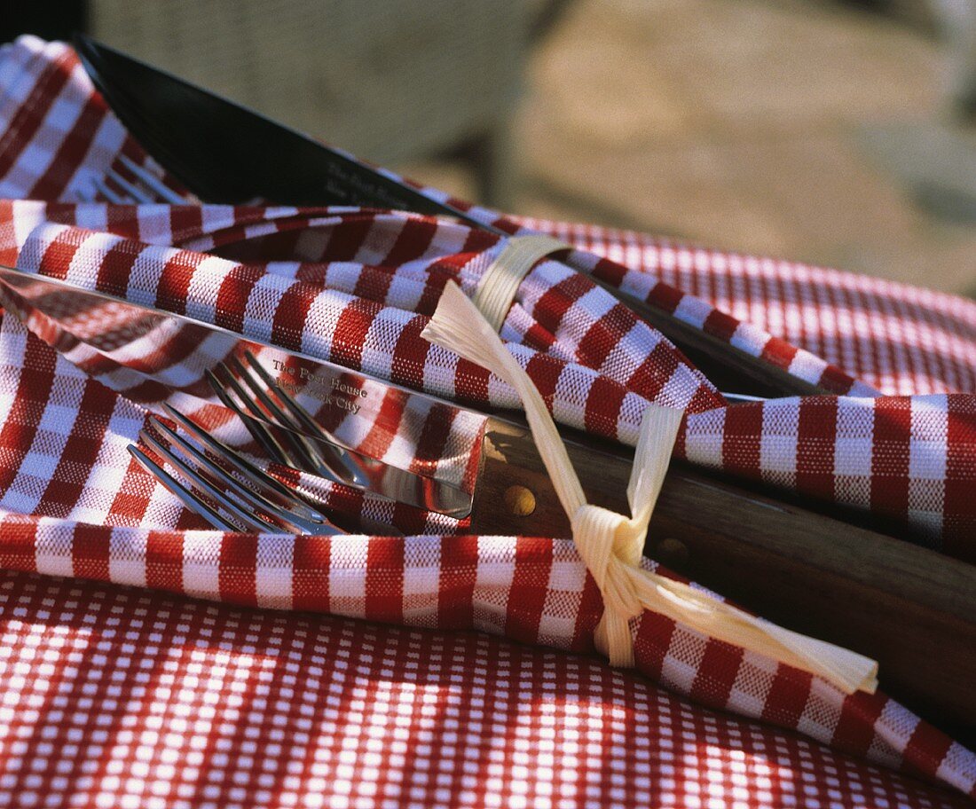 Messer mit Holzgriff & Gabel in rot-weiss-karierter Serviette