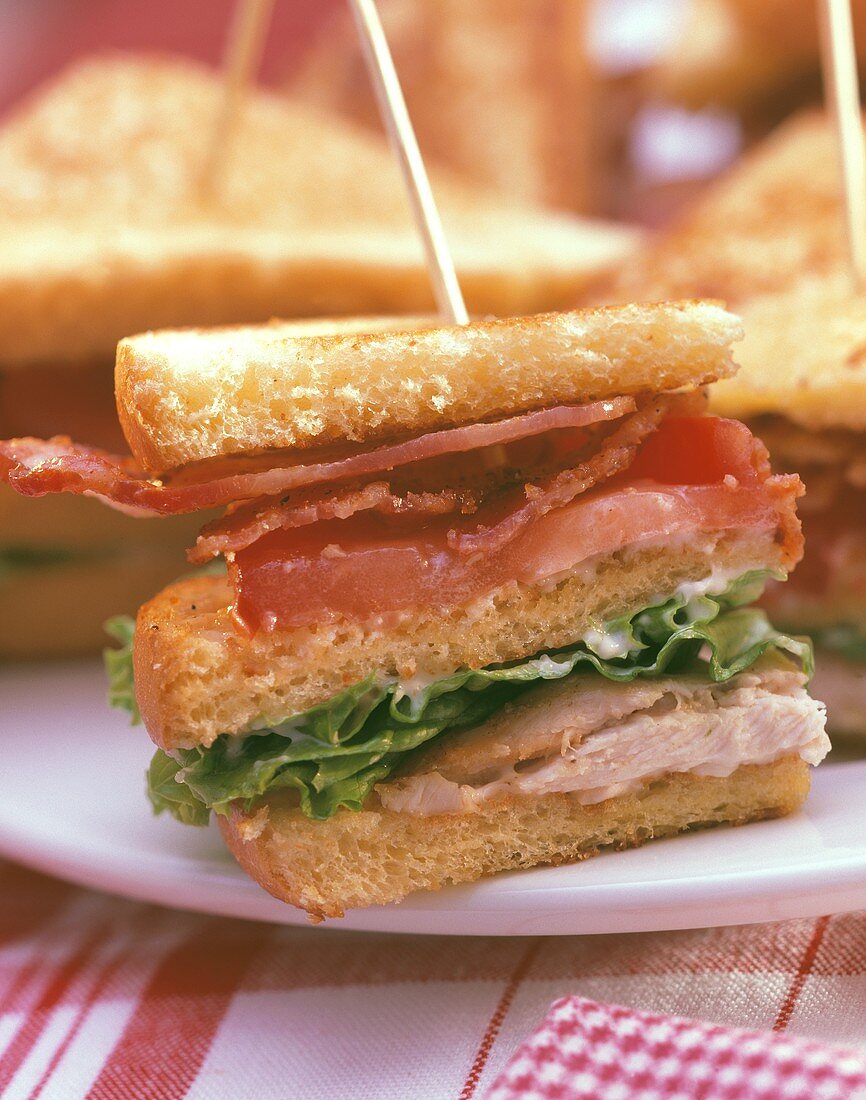 Section of a Club Sandwich