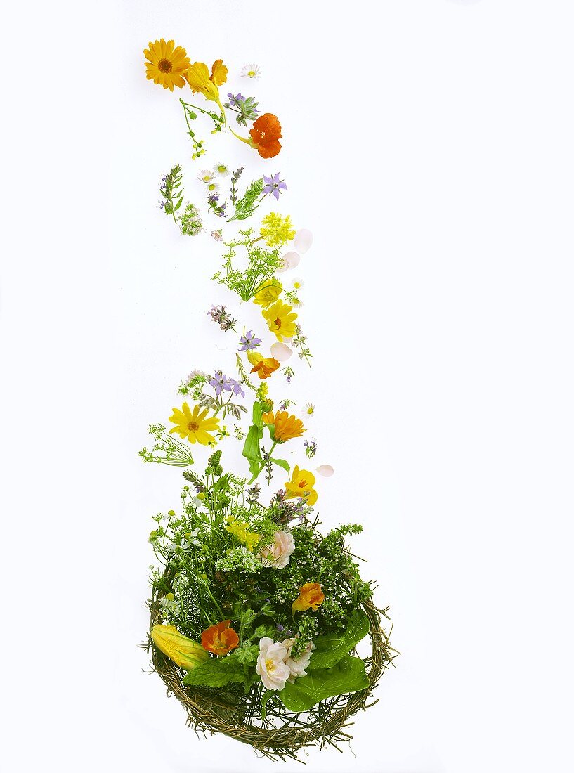 Herbs and Flowers Spilling From a Basket