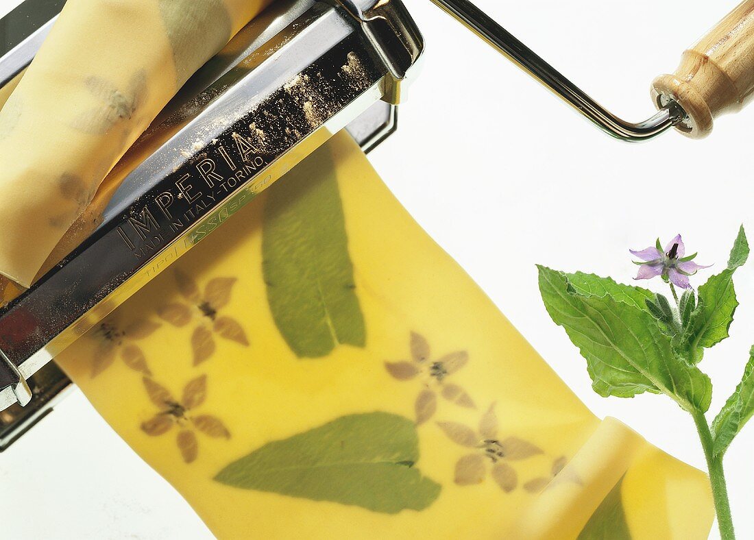 Pasta Made with Borage; Pasta Machine