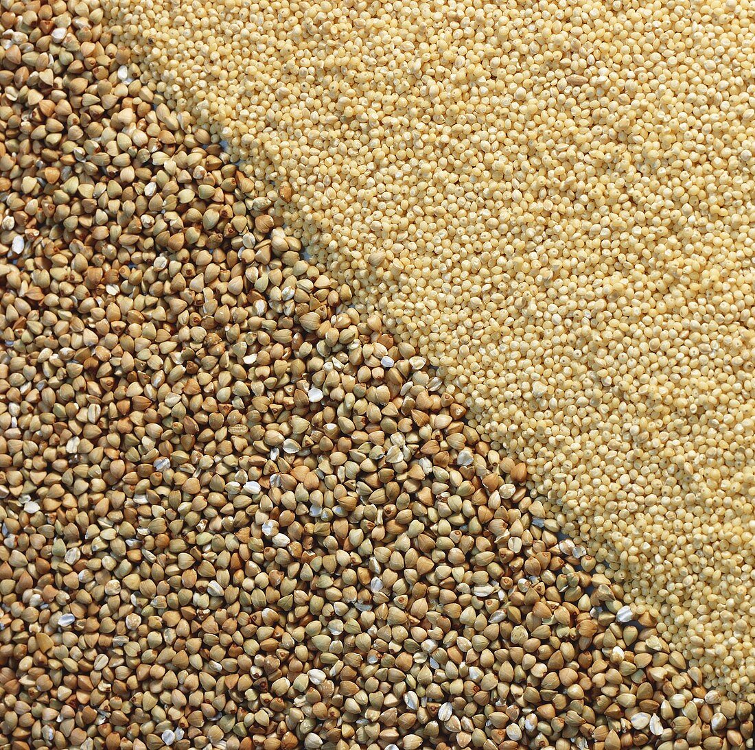 Buckwheat and Millet