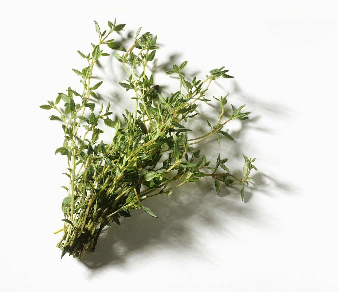 Several Fresh Thyme Branches