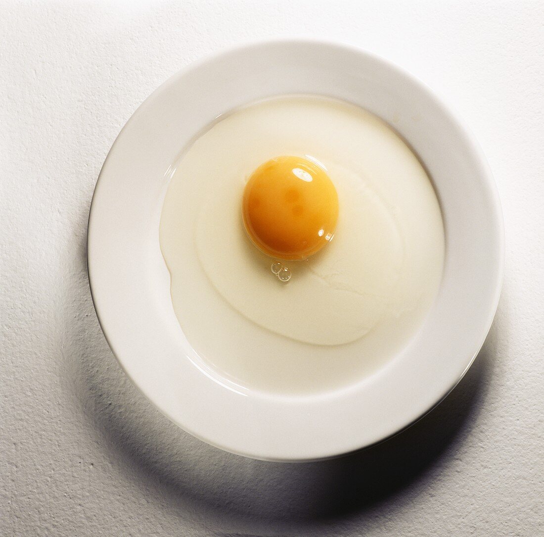 Raw Egg on a Plate