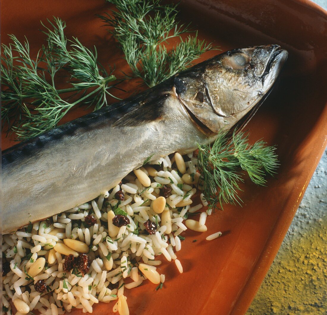 Gefüllte Makrele mit Reis mit Korinthen & Pinienkernen