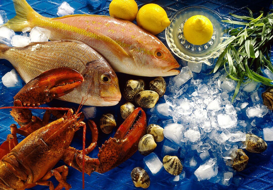 Seafood Still Life: Fish, Lobster and Shellfish