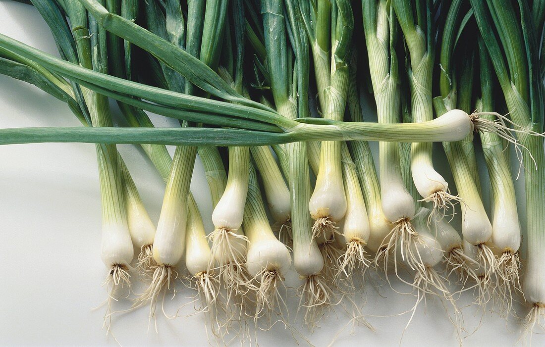 Many Spring Onions