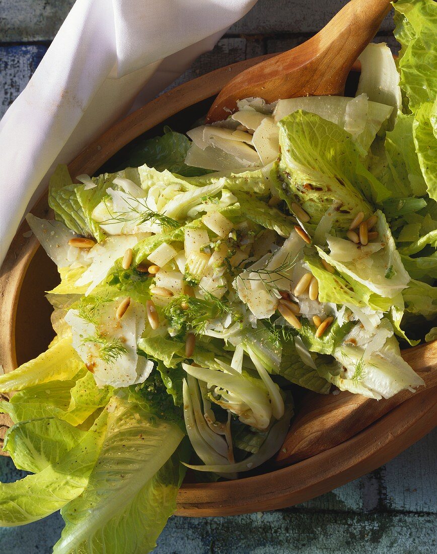 Roman salad with parmesan, fennel and pine nuts