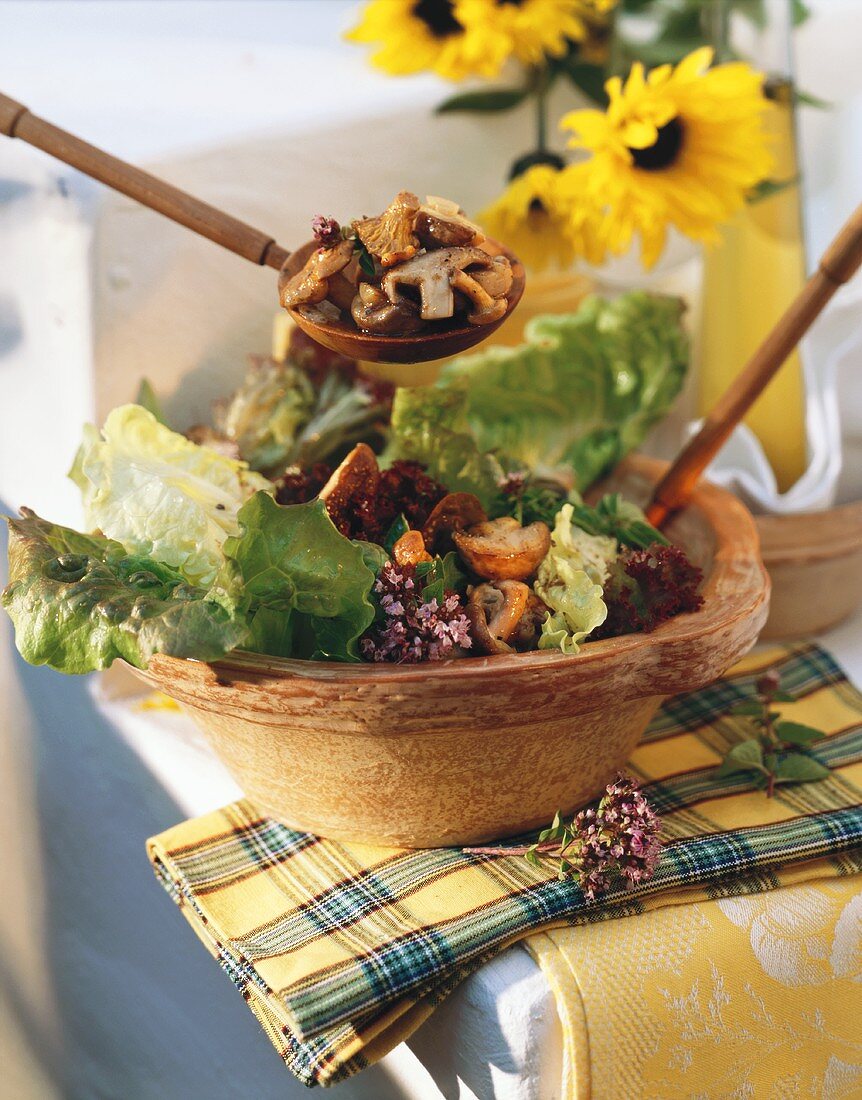 Gemischte Blattsalate mit Pilzen