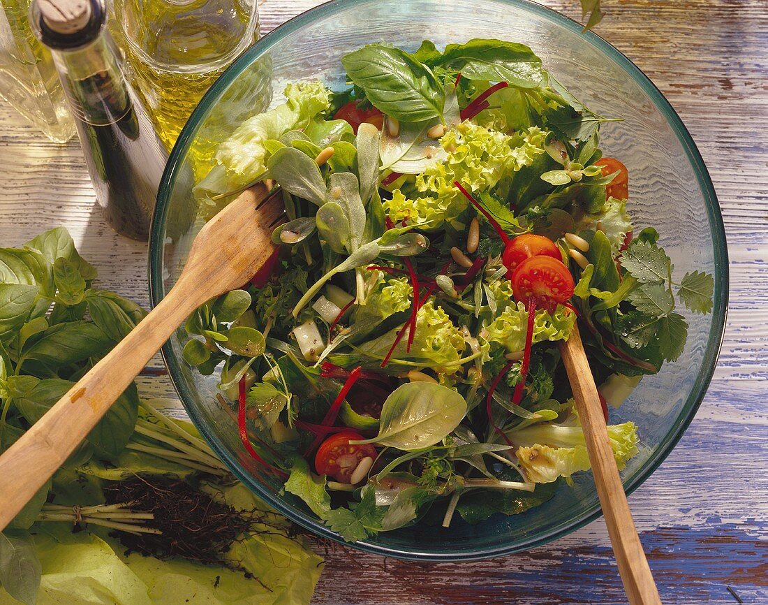 Lollo Biondo-Salat mit Kräutern