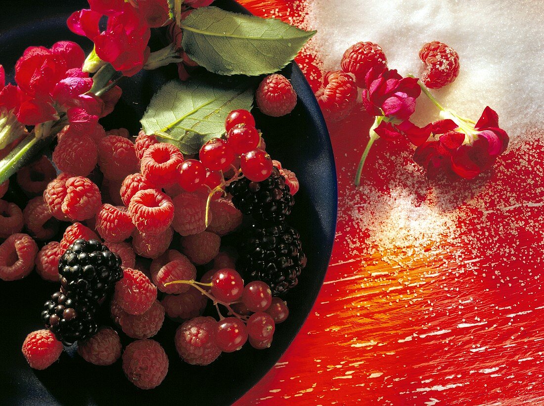 Himbeeren, Johannisbeeren, Brombeeren & weißer Zucker