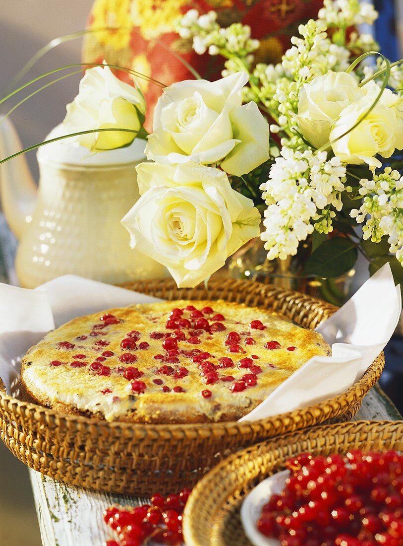 Grießkuchen mit Johannisbeeren