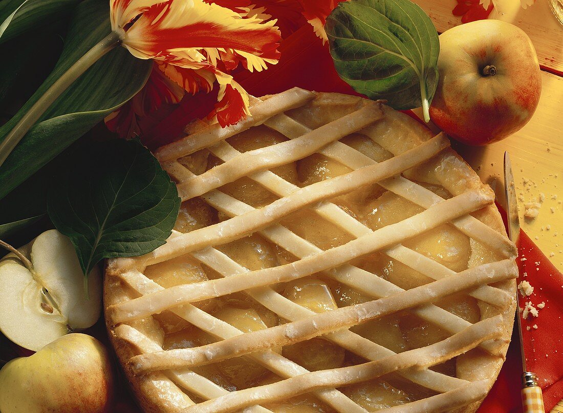 Apfelkuchen mit Marzipangitter