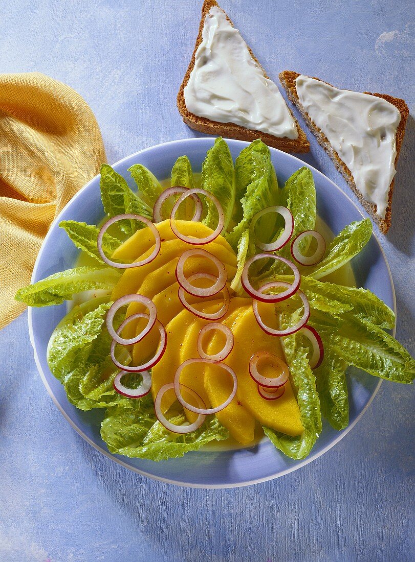 Romaine with mango slices, onion rings, soft cheese on toast