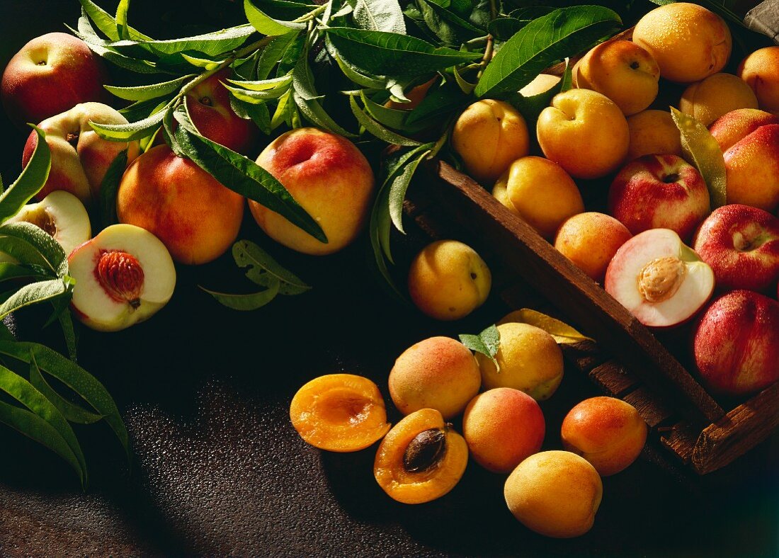 Many Washed Apricots and Nectarines