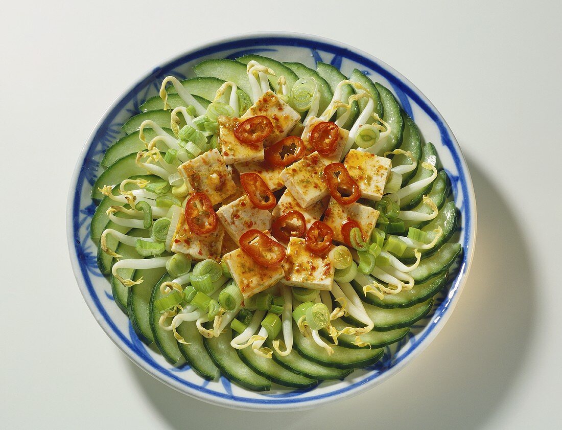 Tofu with Javanese vegetables (red chili, cucumber, sprouts)