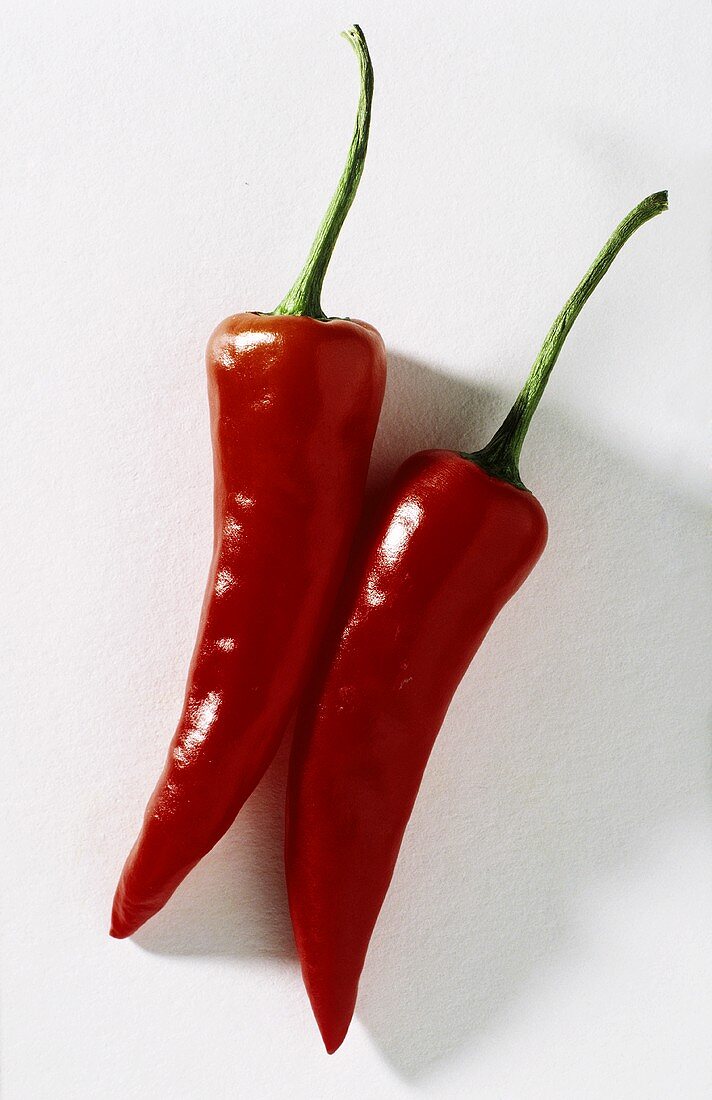 Two Red Chili Peppers