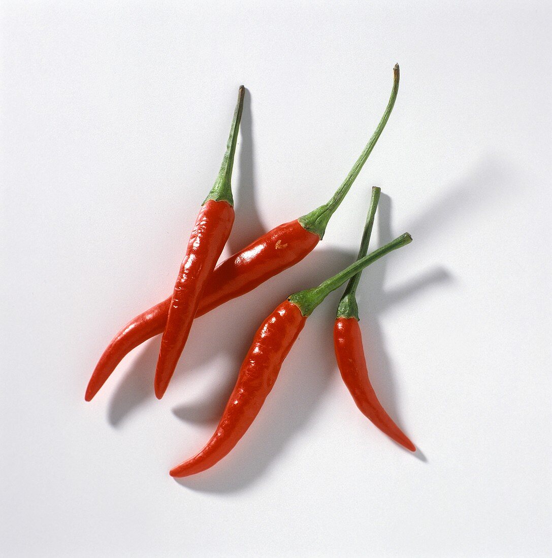 Four red chili peppers (Hot red chili)