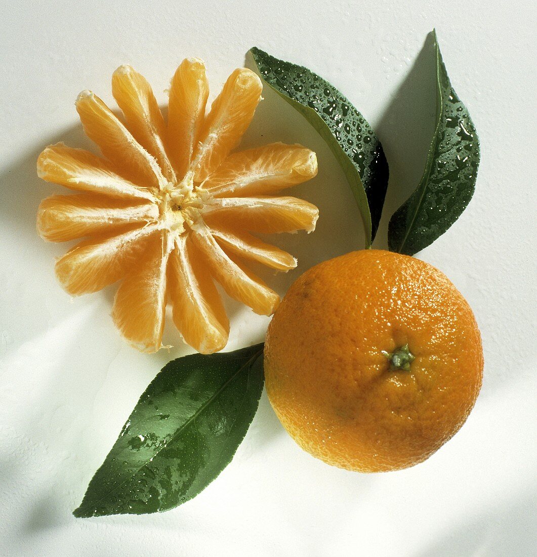Eine ganze Orange mit Blättern & Orangenspalten