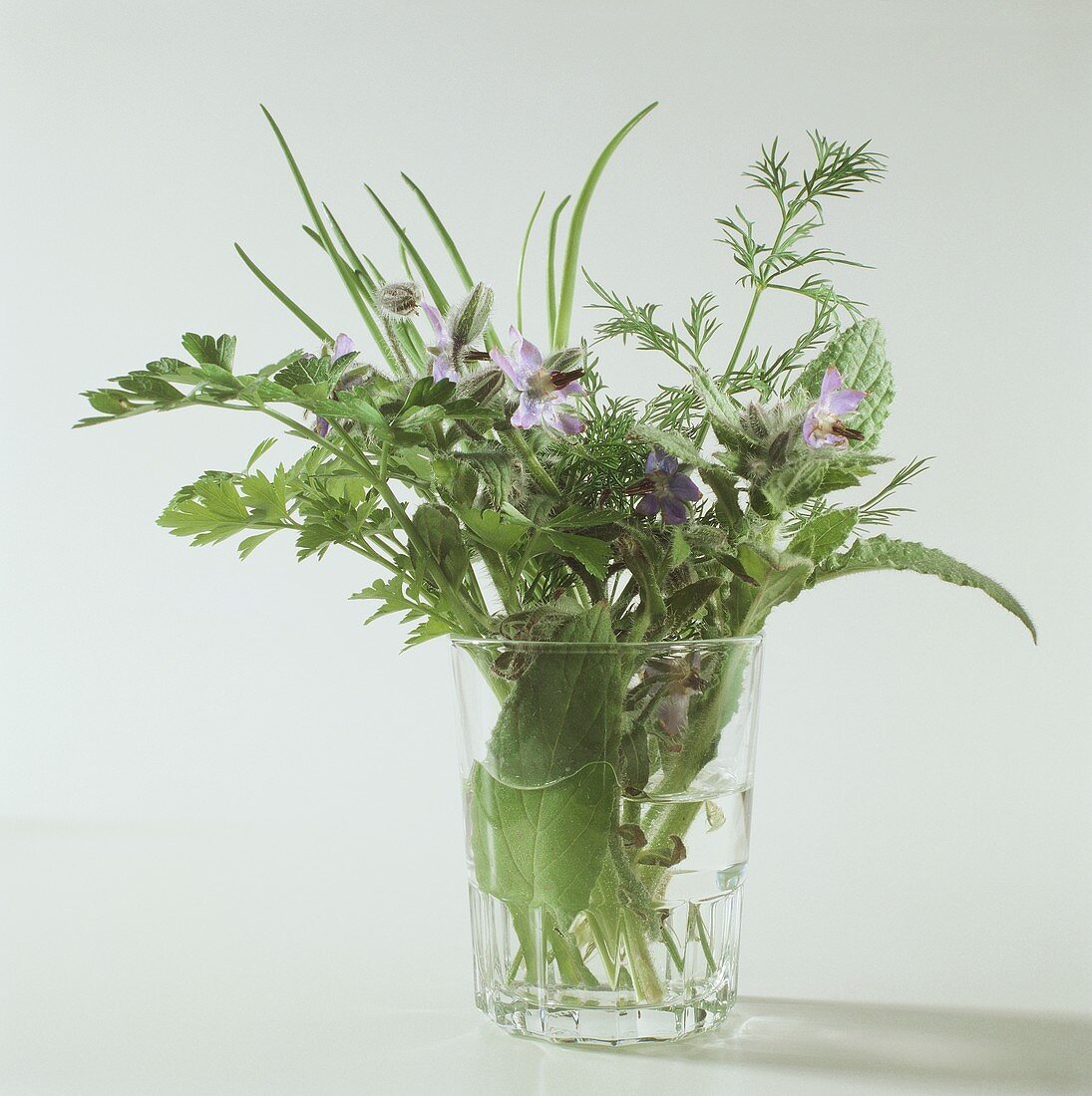 Different Types of Herbs in a Glass Vase
