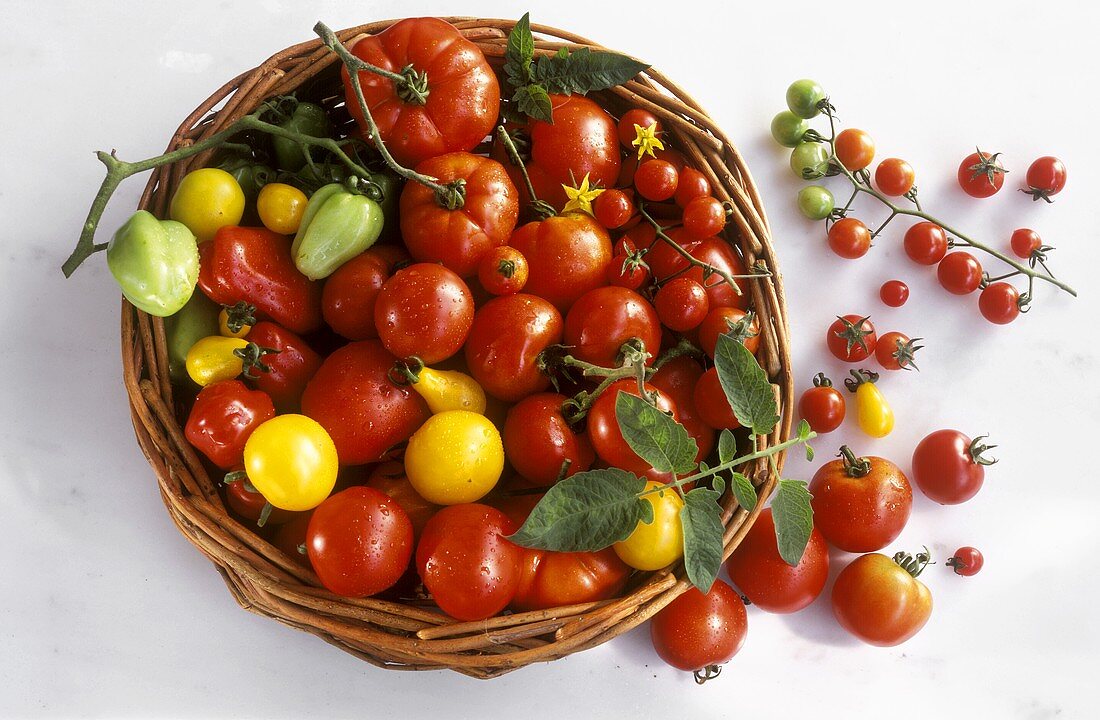 Verschiedene rote, gelbe & einige unreife Tomaten in Körbchen