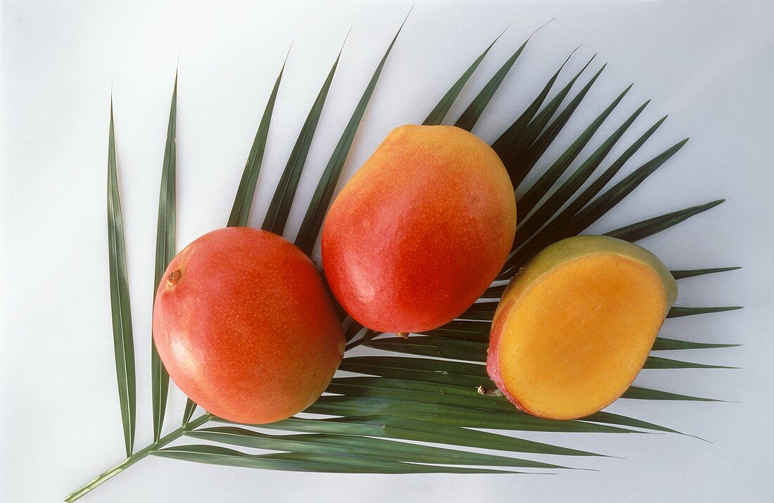 Zwei ganze Mangos & eine halbe auf einem Palmenblatt