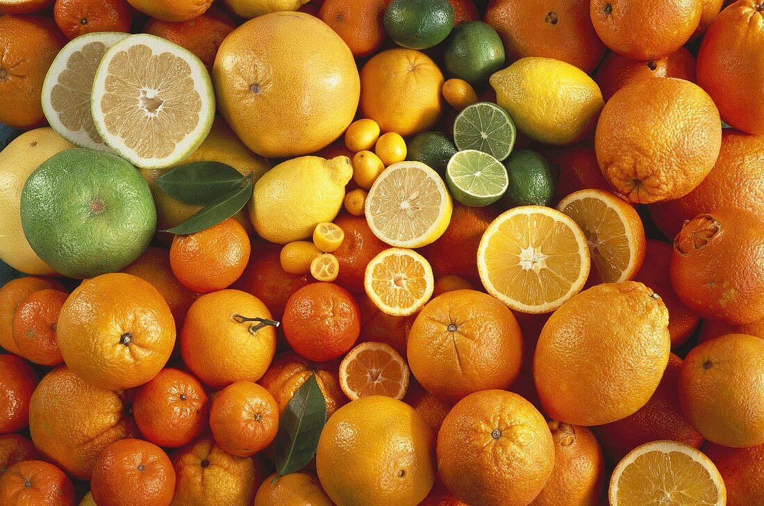 Several Assorted Citrus Fruits