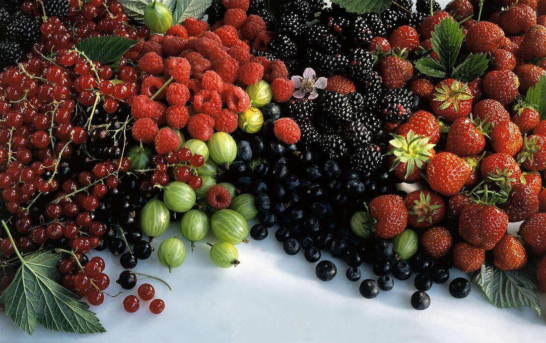 https://media01.stockfood.com/largepreviews/NjM5ODc3Mg==/00206412-Various-types-of-berries.jpg