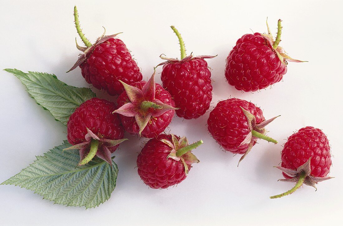 Fresh Raspberries