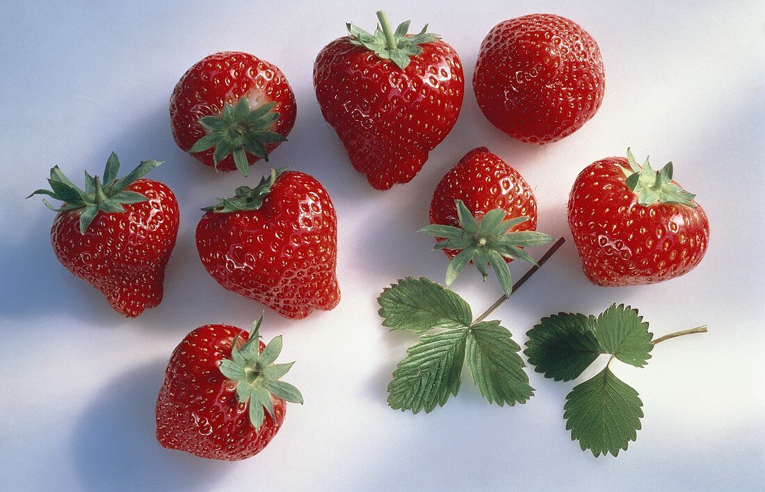 Acht einzelne Erdbeeren & zwei Blätter