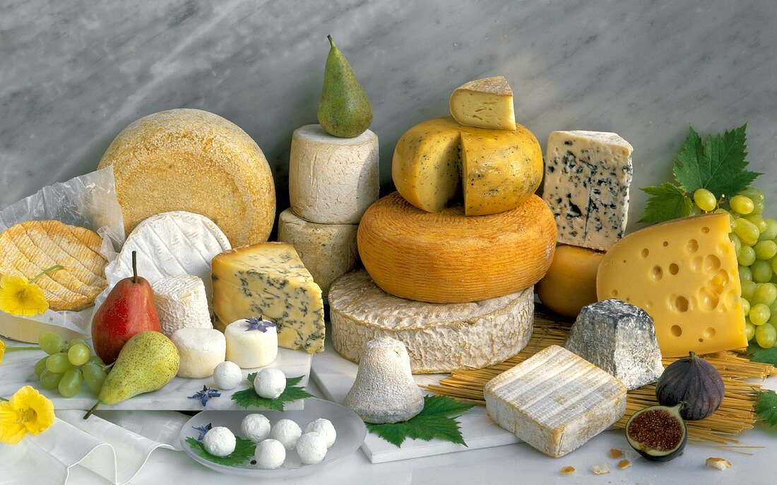 Stillleben mit verschiedenen Käsesorten & Obst