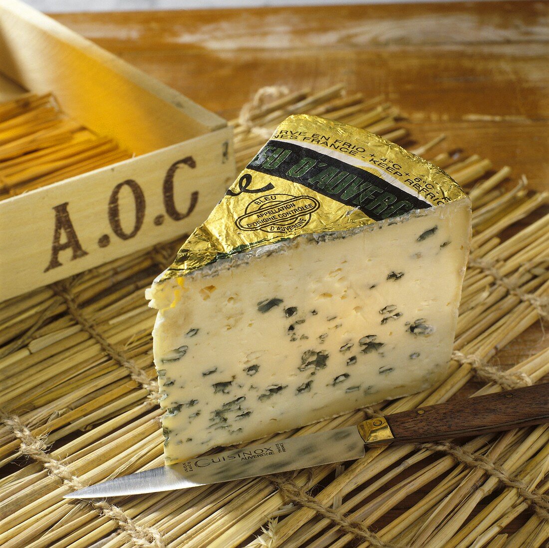 A piece of Bleu d'Auvergne cheese