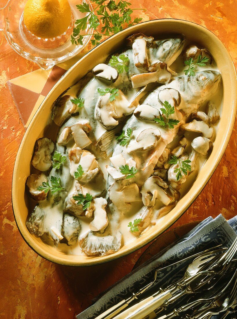 Brook trout with forest mushrooms, cream sauce & parsley