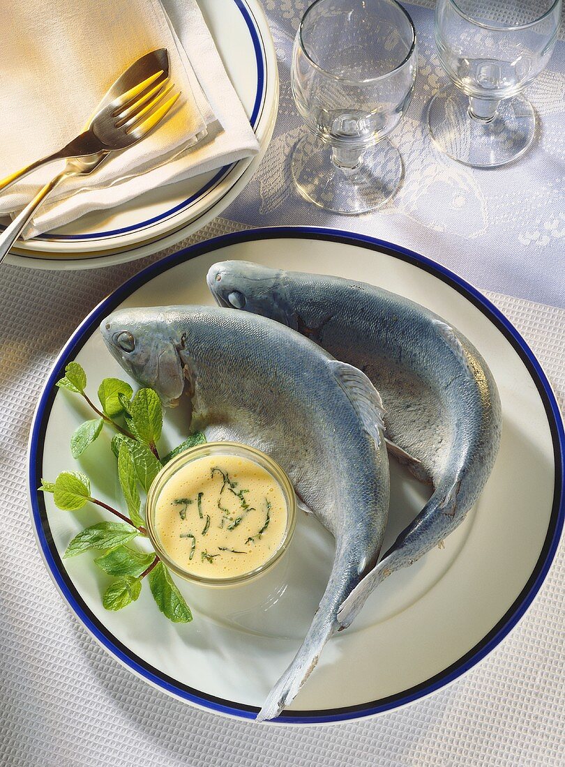 Forelle blau mit Butter-Eier-Sauce mit Minze & Minzezweigen