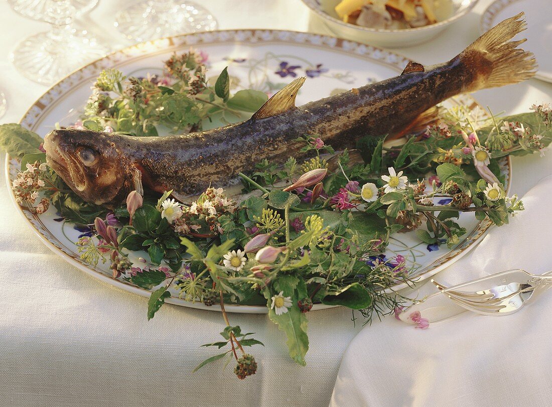 Brook trout cooked in foil on meadow herbs