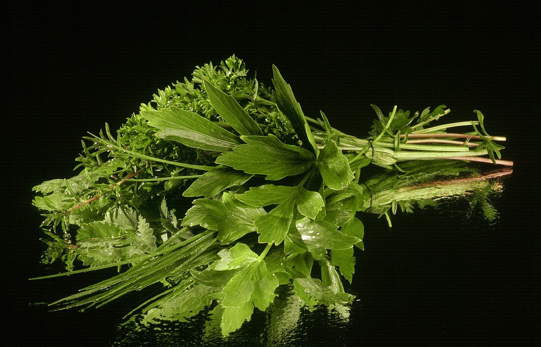 Posy of fresh herbs