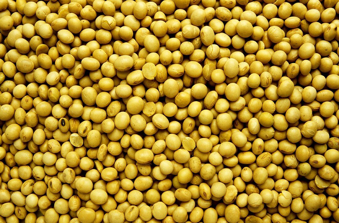 Many soya beans