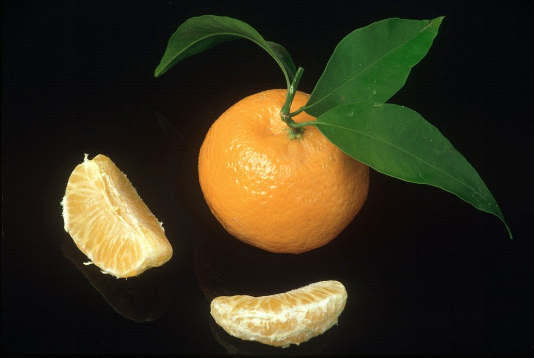 Eine ganze Mandarine mit Blättern & Mandarinenspalten