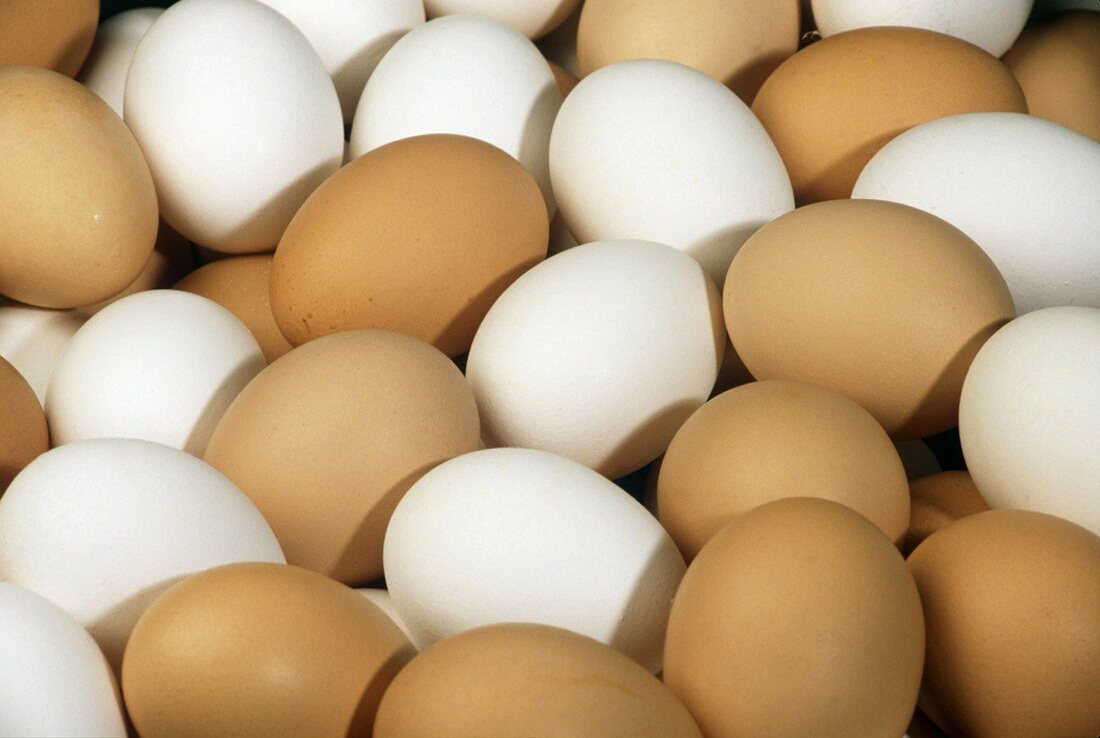 Many brown and white eggs