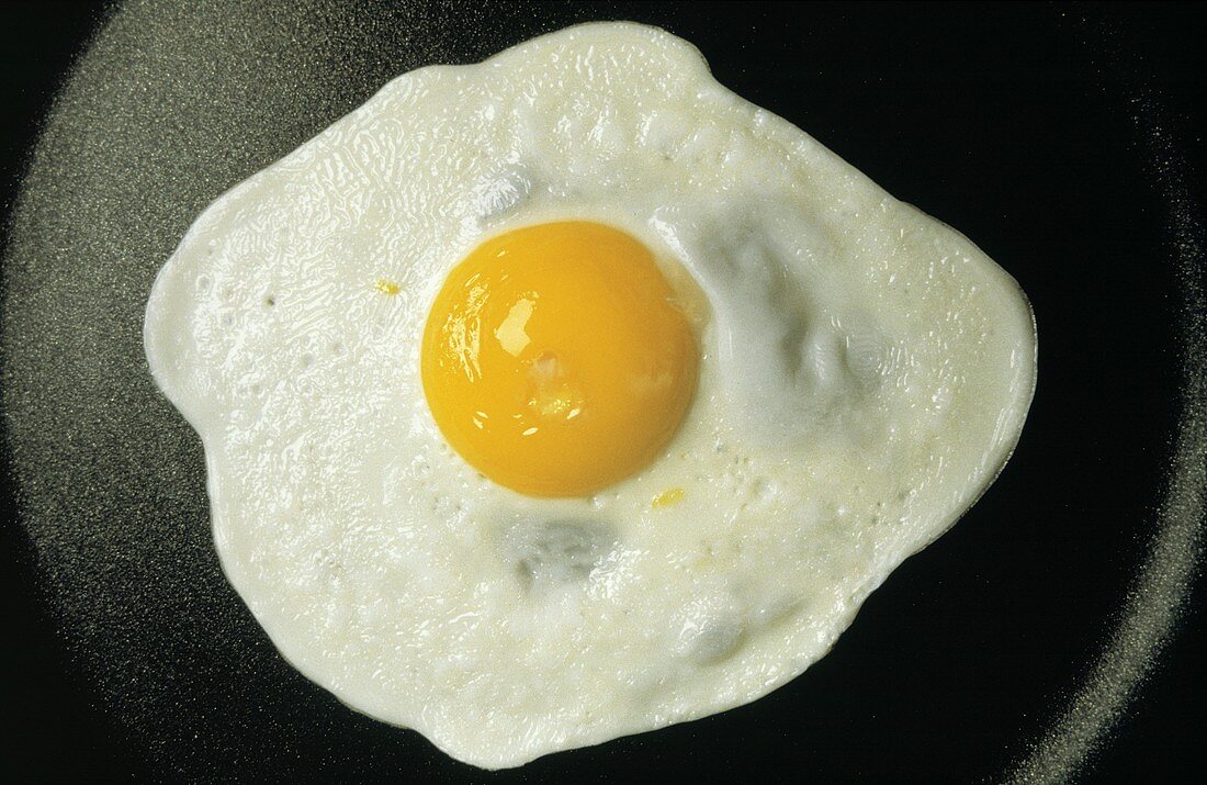 One Fried Egg in a Pan