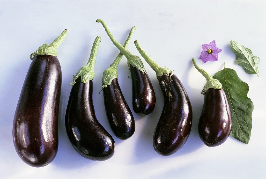 Several aubergines laid side by side