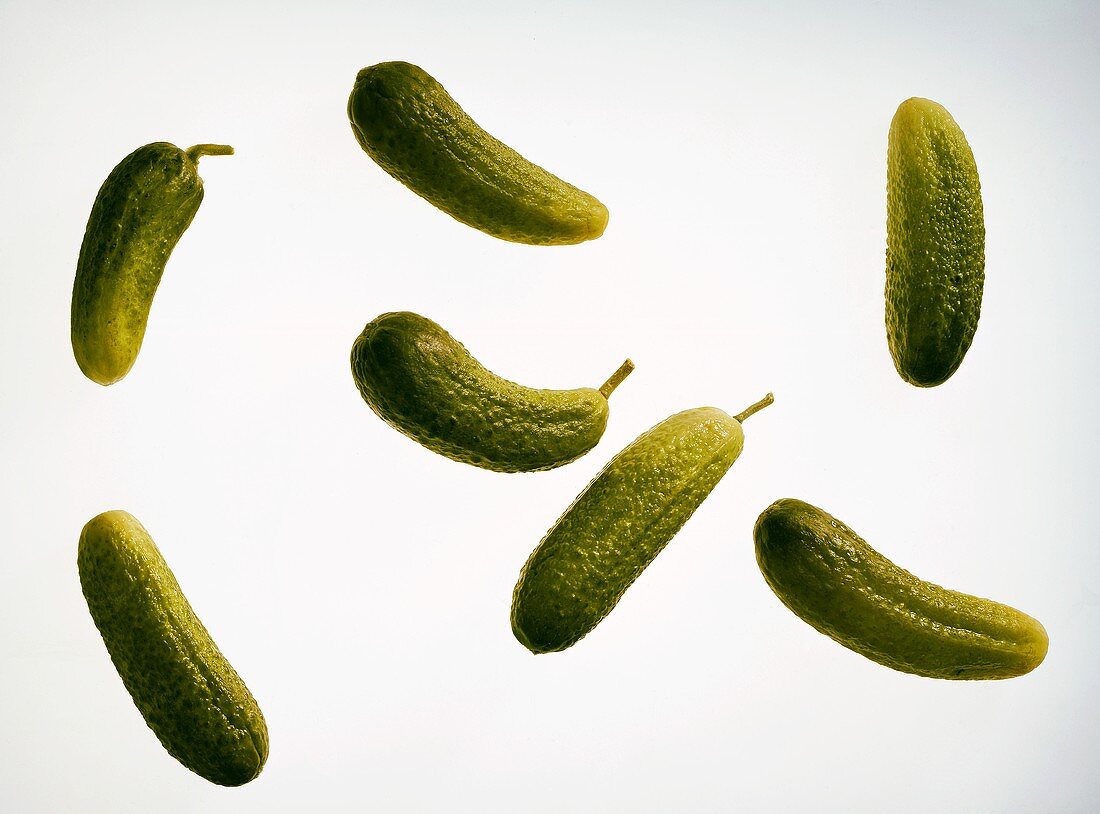 Several individual small pickled gherkins (cornichons)