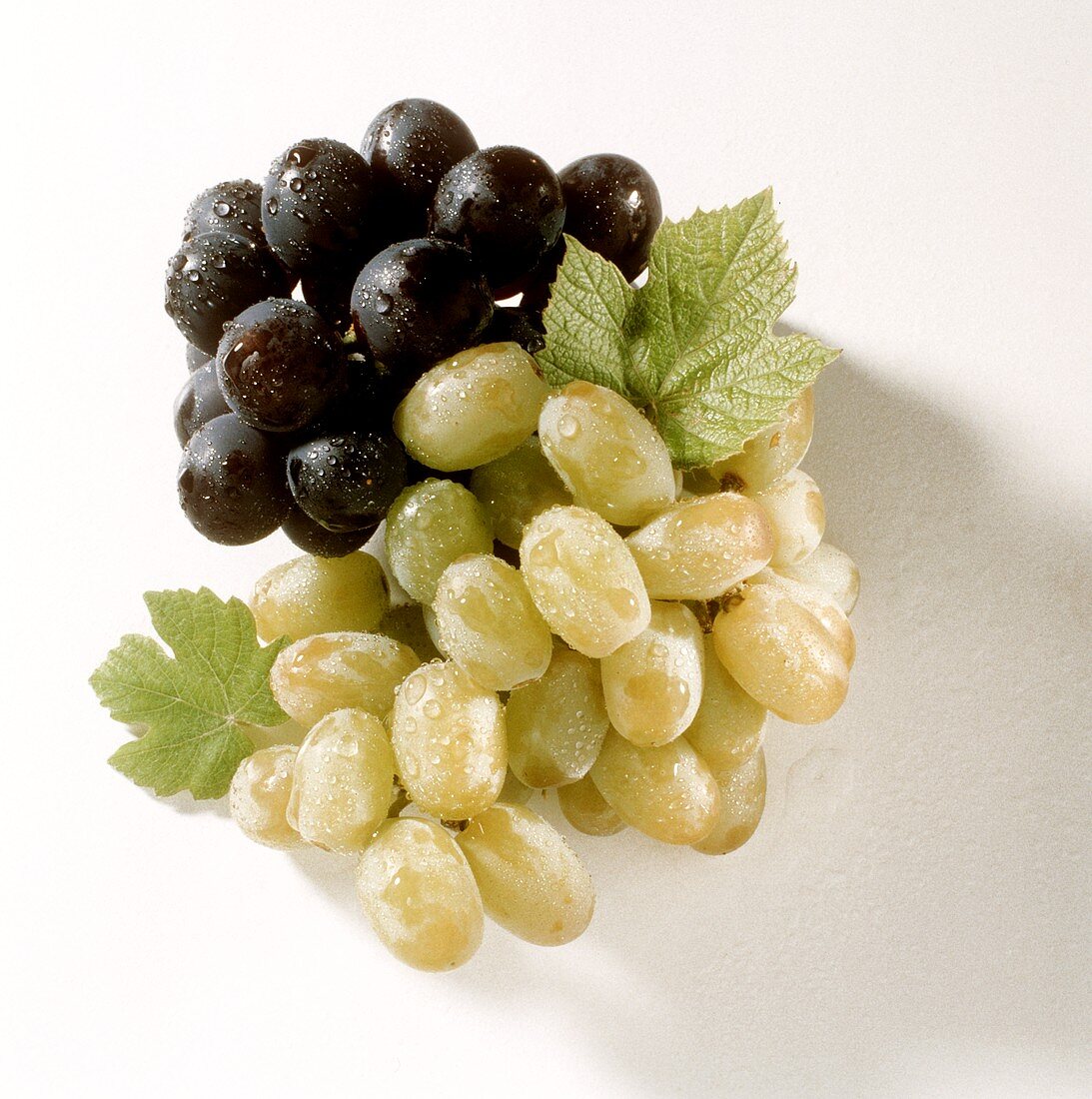 Green and Purple Grapes